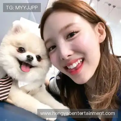 怀献义